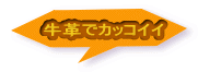 牛革でカッコイイ